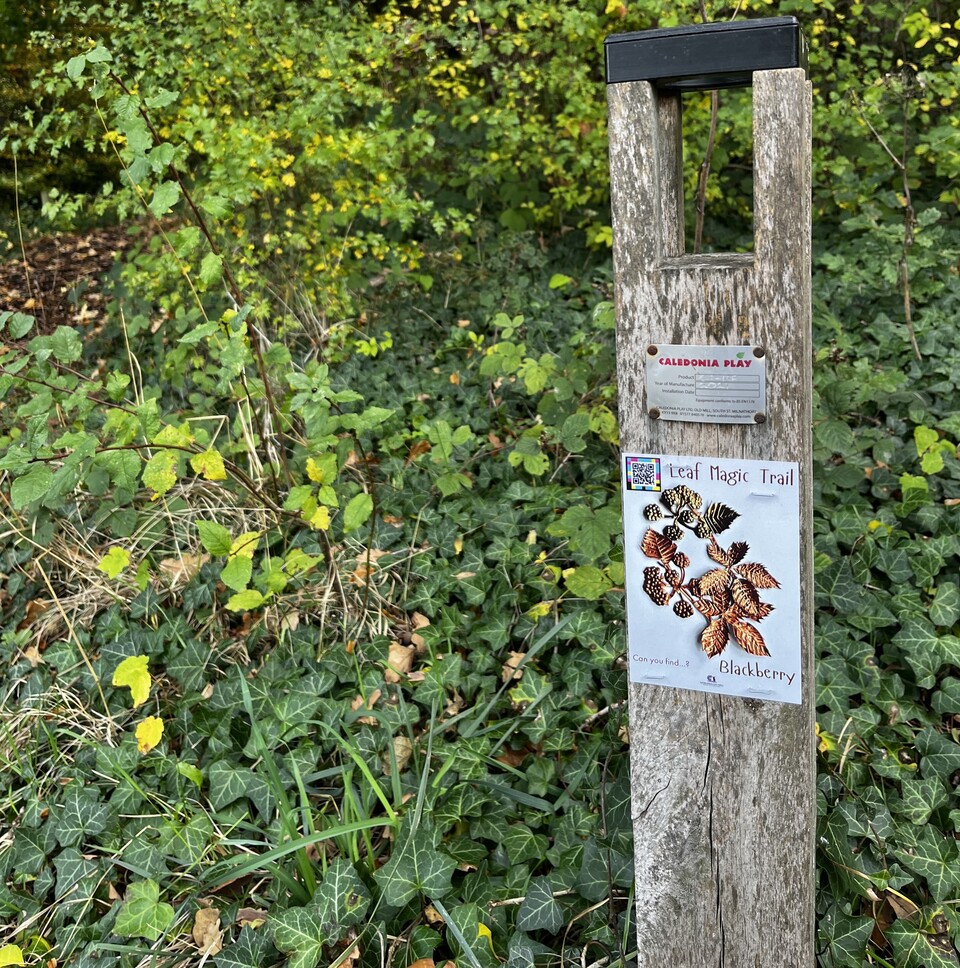 A wooden post stands amidst lush green foliage in a forested area. The post has two signs attached: the top sign reads "CALDONIA PLAY" in red text on a white background